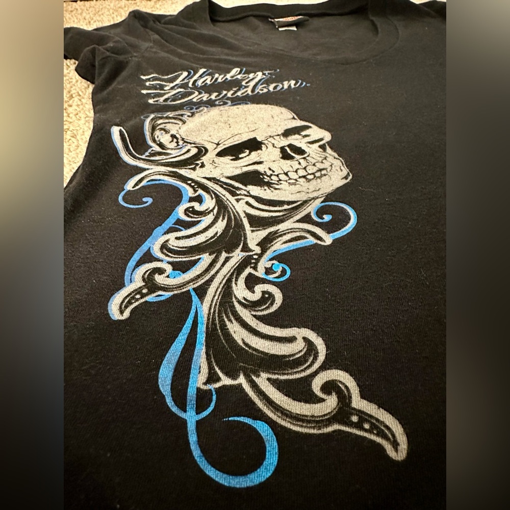 HARLEY DAVIDSON BRIGHT BLUE & BLACK V-NECK T-SHIRT - Medium - Picture 3 of 11